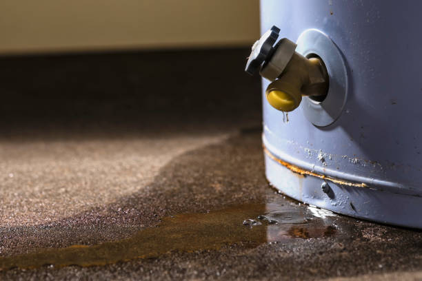 Best Flood damage cleanup  in Navarre Beach, FL