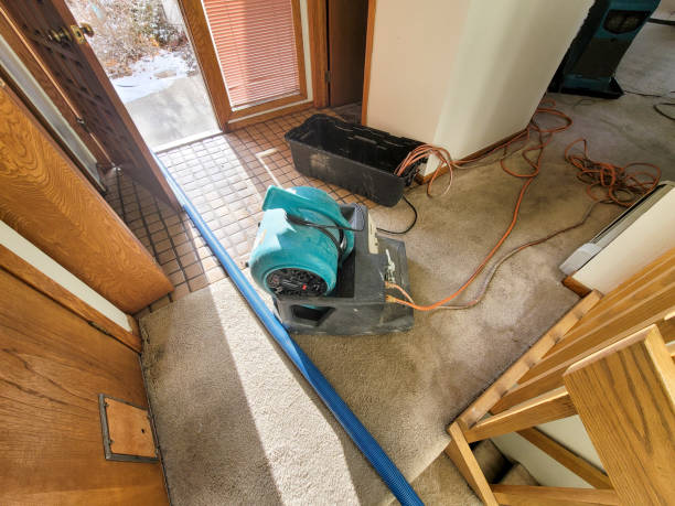 Best Ceiling water damage repair  in Navarre Beach, FL