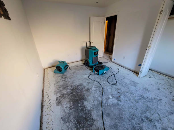 Best Commercial water damage restoration  in Navarre Beach, FL