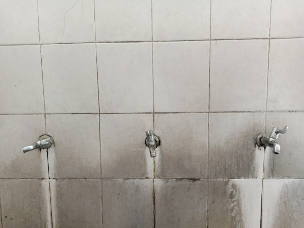 Best Flood restoration services  in Navarre Beach, FL