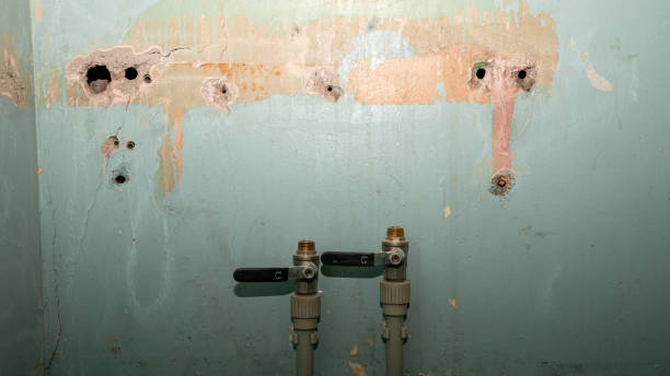 Best Water damage restoration near me  in Navarre Beach, FL