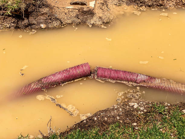 Best Water damage contractors near me  in Navarre Beach, FL