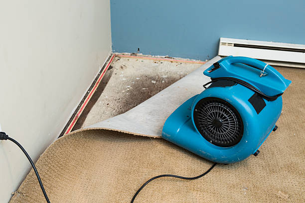 Best Water damage restoration cost  in Navarre Beach, FL